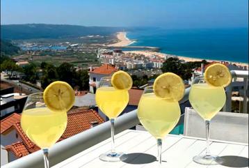 Exclusief penthouse voor 4 personen Nazaré (Portugal) beschikbaar voor biedingen