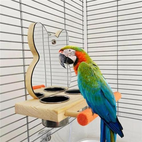 Huisdier Vogel Spiegel Met Feeder, Dieren en Toebehoren, Vogels | Toebehoren