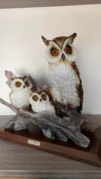 Auro Belcari uil, Enlèvement, Comme neuf