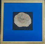 Collage "Lake" - Hilton McConnico (1943-2018), Antiek en Kunst, Ophalen of Verzenden