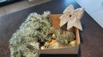 Kerst, Ophalen, Gebruikt