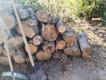 Eik hout  beschikbaar voor biedingen