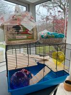 Alles voor je hamster, Dieren en Toebehoren, Knaagdieren, Hamster
