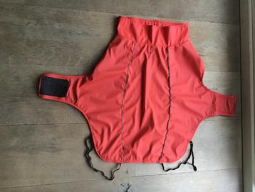 Regenjas voor hond, Parvovirose, Particulier, Chien (mâle), Belgique