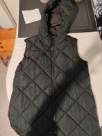 Bodywarmer NIEUW nooit gedragen, Vêtements | Femmes, Blousons sans Manches, Enlèvement, Taille 46/48 (XL) ou plus grande