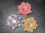 3 kleuren waterlelies, Verzamelen, Ophalen of Verzenden, Zo goed als nieuw