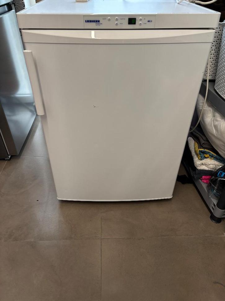 Diepvries tafelmodel Liebherr NoFrost (nooit meer ontdooien), Elektronische apparatuur, Vriezers en Diepvrieskisten, Gebruikt