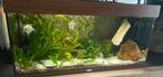 Aquarium juwel 180L, Dieren en Toebehoren, Ophalen, Zo goed als nieuw