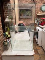 Vitrinekastje of display, Ophalen, Zo goed als nieuw, Glas