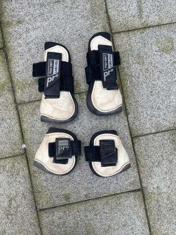 Peesbeschermers Pony beschikbaar voor biedingen