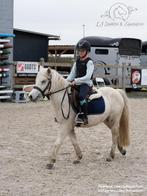 Toffe A/B-pony!, Dieren en Toebehoren, Pony's, B, Springpony, A pony (tot 1.17m), 3 tot 6 jaar