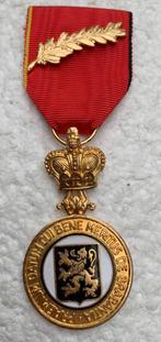 Medaille, Veteranen van Barbant, Gouden verdienste med +palm, Verzamelen, Overige soorten, Ophalen of Verzenden, Lintje, Medaille of Wings