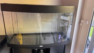 Aquarium Juwel 180 beschikbaar voor biedingen
