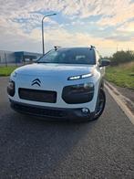 C4 cactus, Particulier, C4, Te koop, Benzine