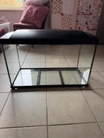 Aquarium 90 L, Dieren en Toebehoren, Ophalen