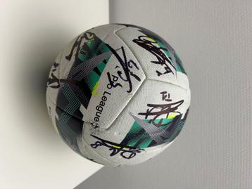Royal antwerp FC . Squad signed ball, Enlèvement ou Envoi, Neuf, Ballon