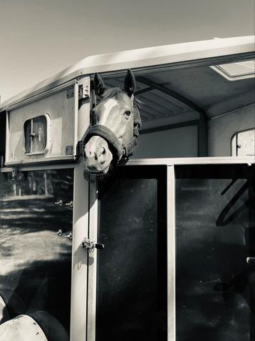 Ifor Williams TRAILER te HUUR beschikbaar voor biedingen