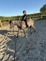 C pony te koop, Dieren en Toebehoren, Ruin, Zadelmak
