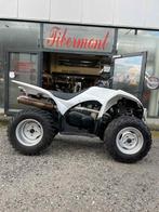 YAMAHA WOLVERINE, Motoren, 421 cc, 12 t/m 35 kW