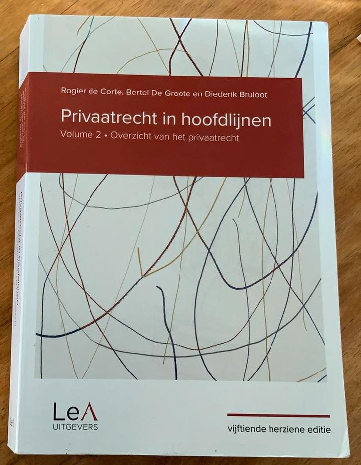 Rogier de Corte - Privaatrecht in hoofdlijnen Vol 2 15de ed., Boeken, Wetenschap, Zo goed als nieuw, Overige wetenschappen, Ophalen of Verzenden