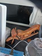 Houten moto, Ophalen