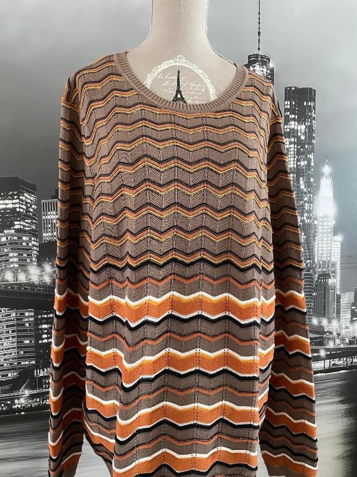 NIEUW prachtige winter trui pull - Peter Hahn - 48, Kleding | Dames, Truien en Vesten, Nieuw, Maat 46/48 (XL) of groter, Bruin