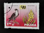 Pologne 2001 - oiseaux, fauçon pèlerin, fleurs, orchidée, Enlèvement ou Envoi, Pologne, Affranchi