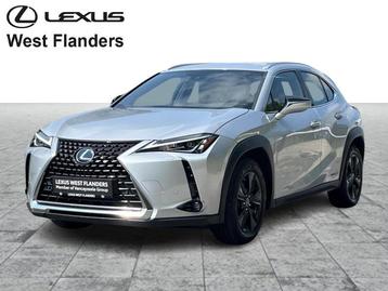 Lexus UX 250h Business Line Plus 