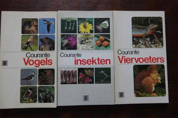 3 boekjes courante vogels , insekten en viervoeters beschikbaar voor biedingen