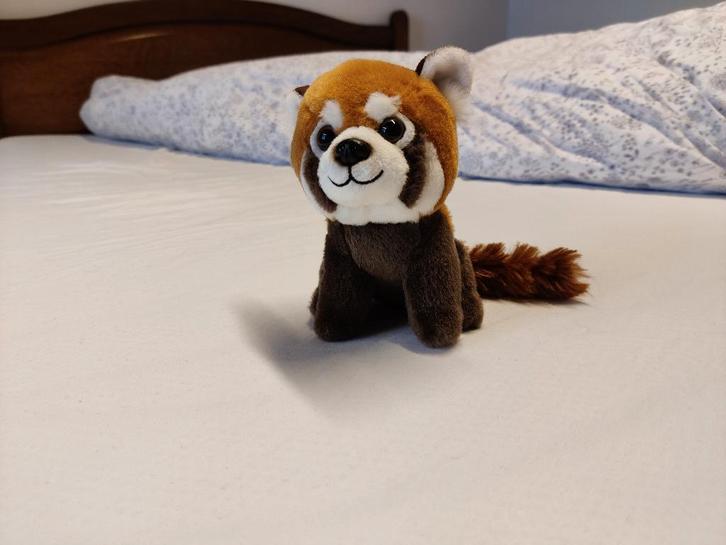 Peluche panda rouge, Enfants & Bébés, Jouets | Peluches, Neuf, Autres types, Overige karakters, Autres marques, Petit (moins de 20 cm)