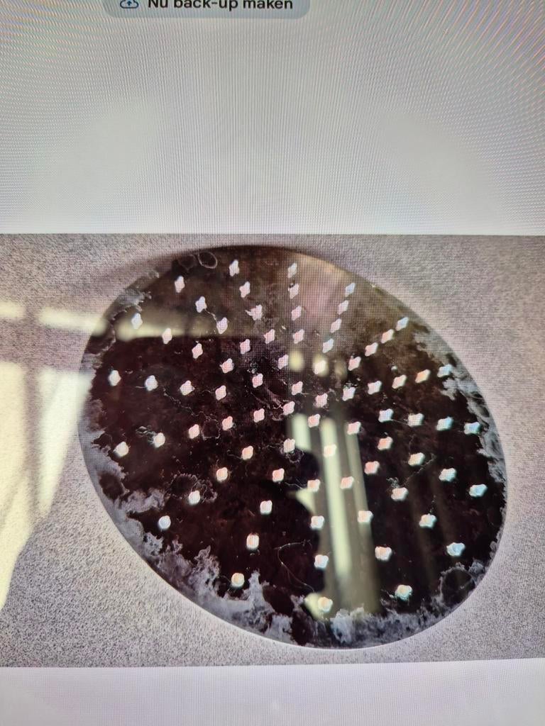 POMME DE DOUCHE, Enlèvement, Inox