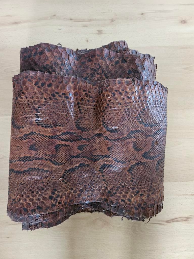 Slangenhuid Python +-400 op 35cm, Ophalen