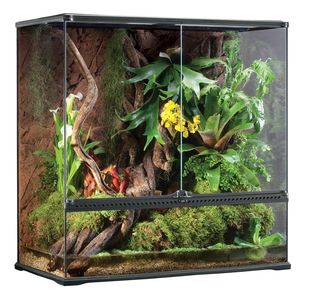 GEZOCHT: specialisten subtropisch, duurzaam terrarium