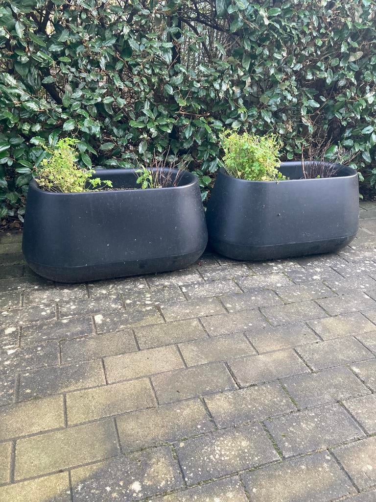 Elho pure bloempot bloembak, Ophalen, Kunststof, Zo goed als nieuw, Balkon