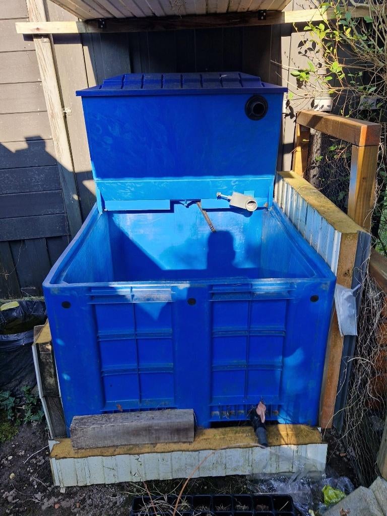 Wegens stopzetting hobby, doe ik mijn Q-bak weg, Karper of Koi