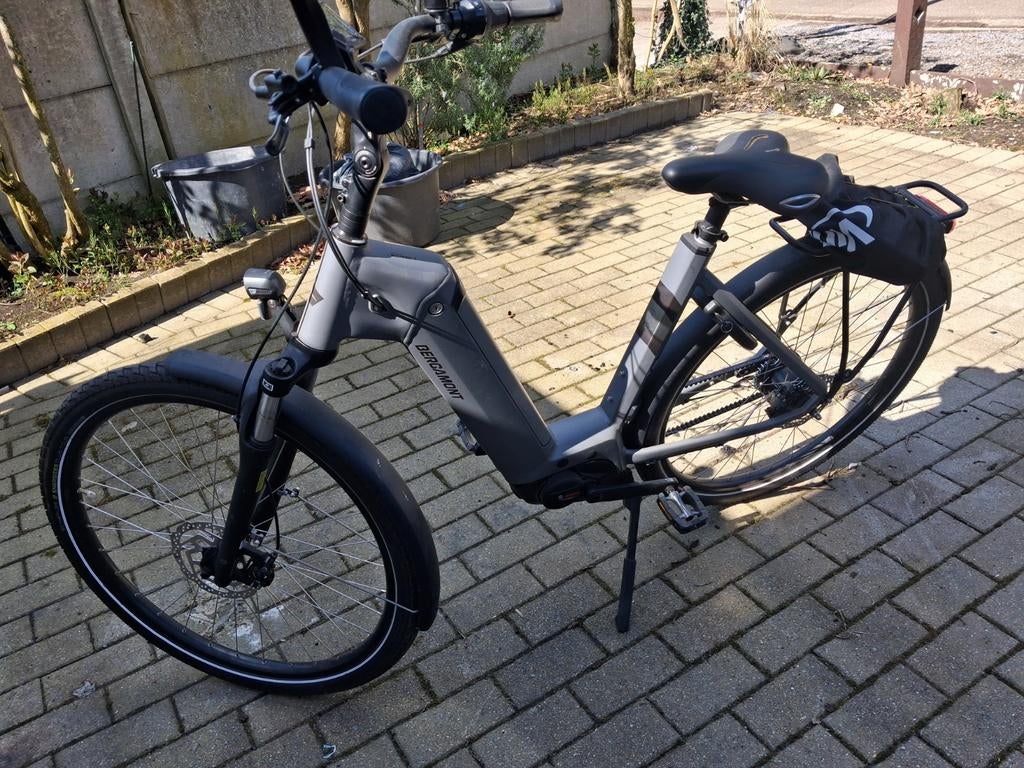 E Bike Bergamot, Fietsen en Brommers, Overige merken, Ophalen of Verzenden, Zo goed als nieuw, 51 tot 55 cm
