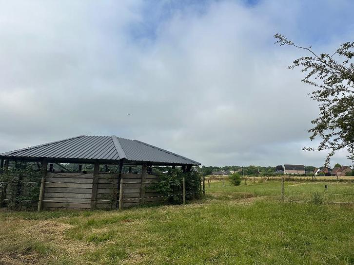 Boîtes disponibles, Animaux & Accessoires, Box & Pâturages, Mise à l'étable, 4 chevaux ou poneys ou plus