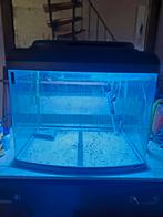 Superfish panorama opnieuw te koop, Dieren en Toebehoren, Ophalen