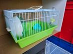 Petite cage à hamster 537, Enlèvement, Cage, Hamster