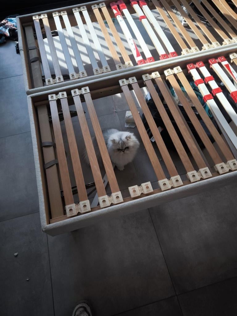 deux lits simples, Une personne, Brun, Utilisé, Bois