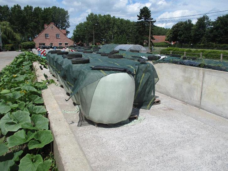 Beste kwaliteit voordroog, hooi in grote ronde balen., Dieren en Toebehoren, Dierenvoeding, Vee, Ophalen