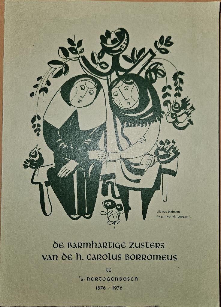 De barmhartige zusters van de H. Carolus Borromeus, Livres, Histoire & Politique, Enlèvement ou Envoi, Comme neuf, P. Gerlach