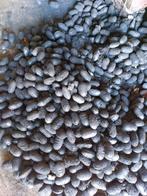 Charbon +/- 40 sacs, Maison & Meubles, Poêles, Enlèvement