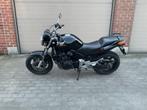 Honda, 4 cilinders, Particulier, Meer dan 35 kW, 600 cc