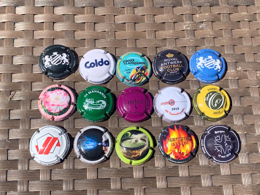 Lot 16 Belgische champagne capsules, Enlèvement ou Envoi