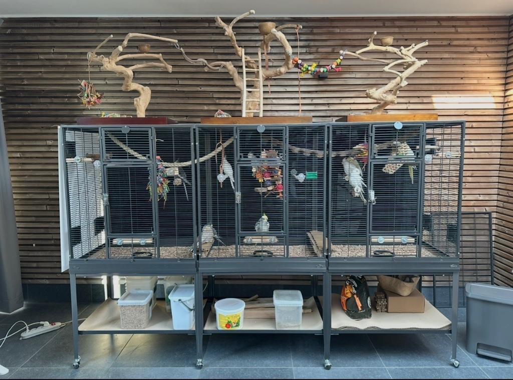 Montana Madeira Triple (Double + Aanbouwkit) - Topstaat!, Ophalen, Zo goed als nieuw, Metaal, Vogelkooi