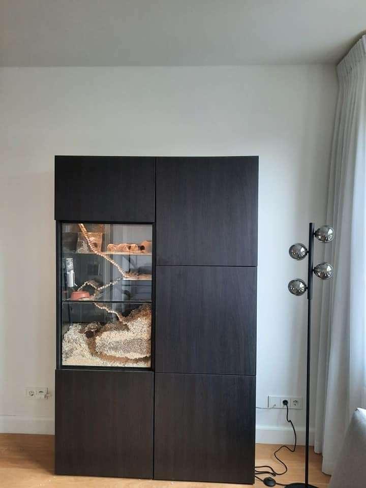 Glazen terrarium 56x35x90 – IKEA Besta lijn, Dieren en Toebehoren, Knaagdieren en Konijnen | Hokken en Kooien, Nieuw, Hok, 90 cm of meer