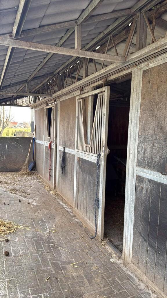 Buitenstal 3 boxen (3x3 m) + ruim overstek – zware kwaliteit, Animaux & Accessoires, Box & Pâturages, Élevage, Mise à l'étable