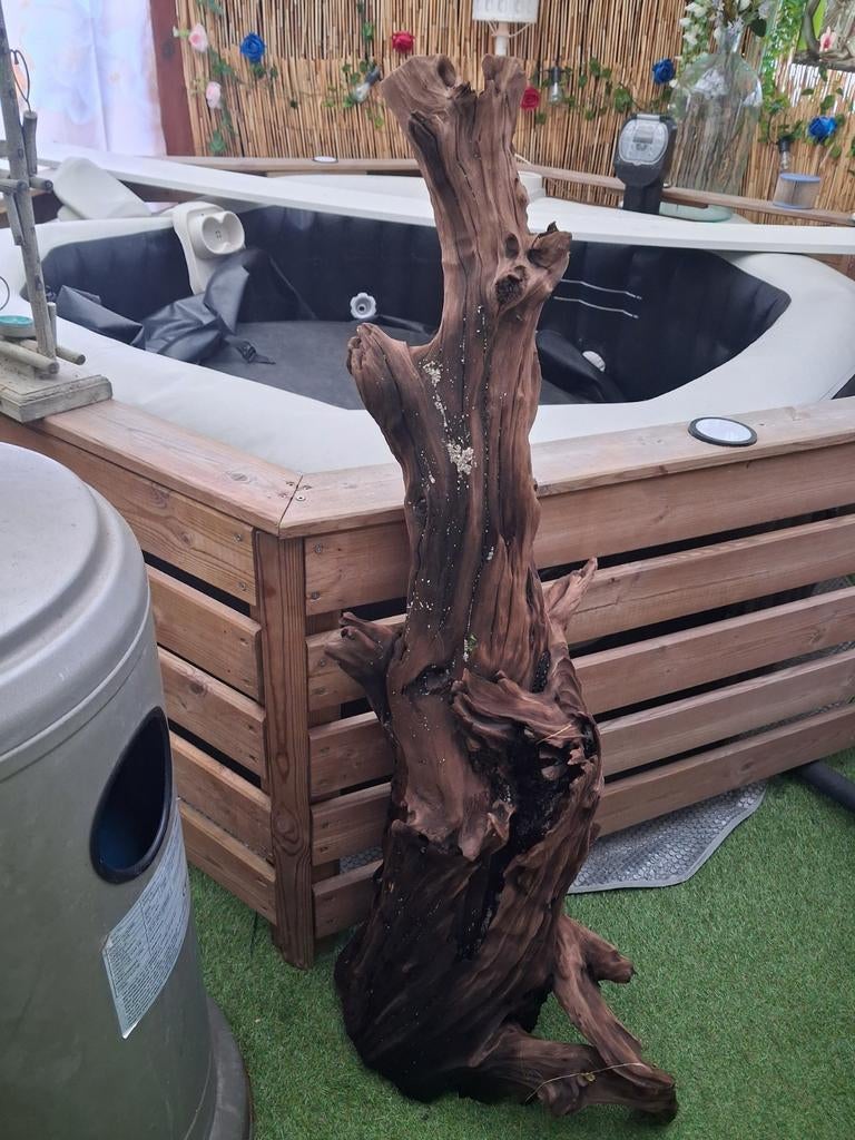 Grande souche de 110cm, Enlèvement