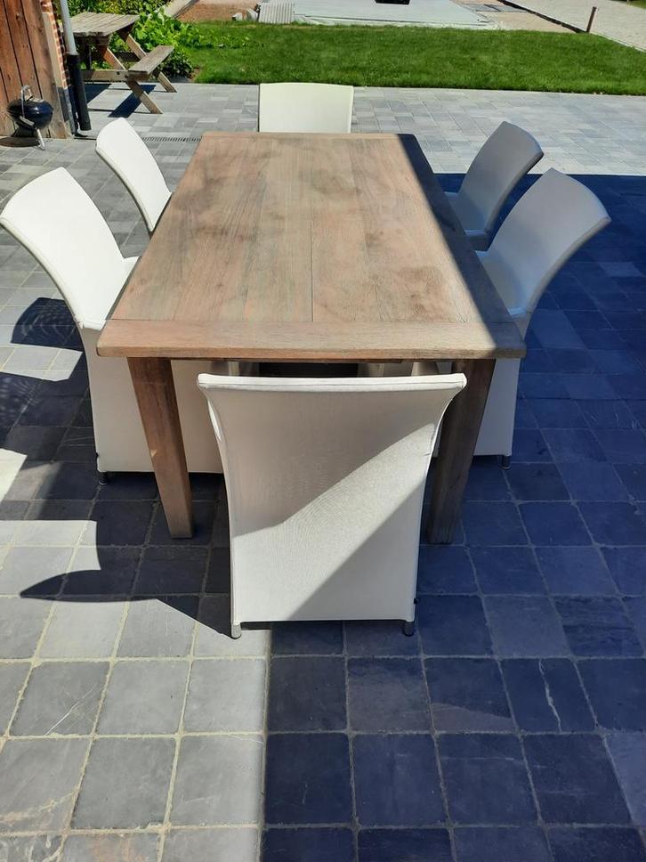 6 magnifiques chaises Joli à l'état neuf, Maison & Meubles, Chaises, Comme neuf, Enlèvement